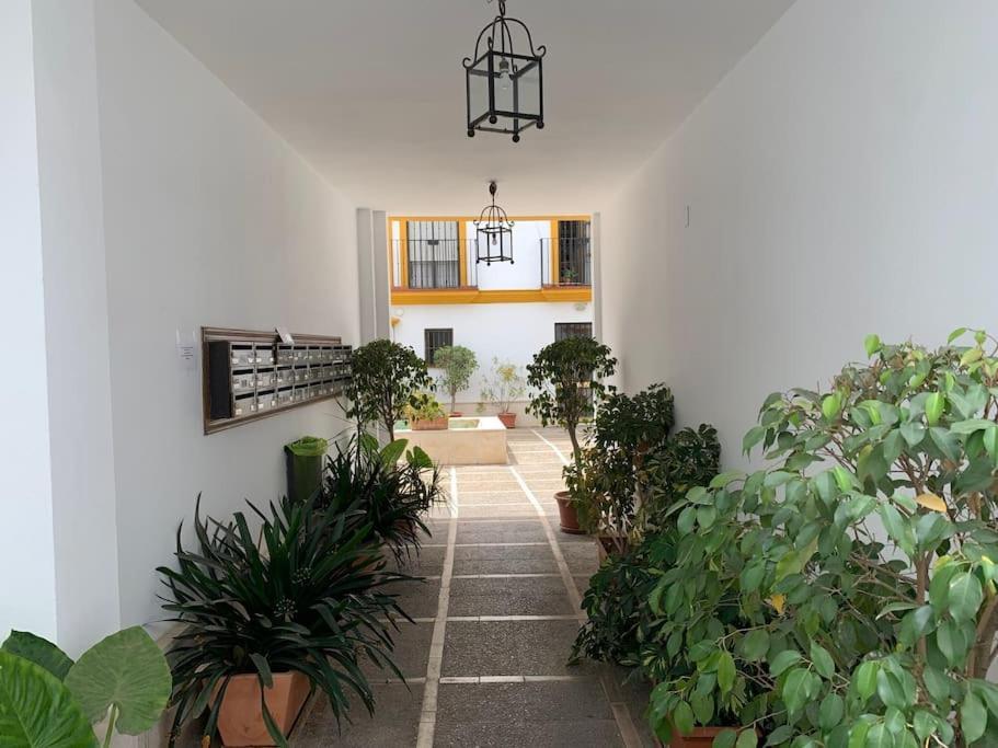 Pilsev Center Apartment Sevilla Exteriér fotografie